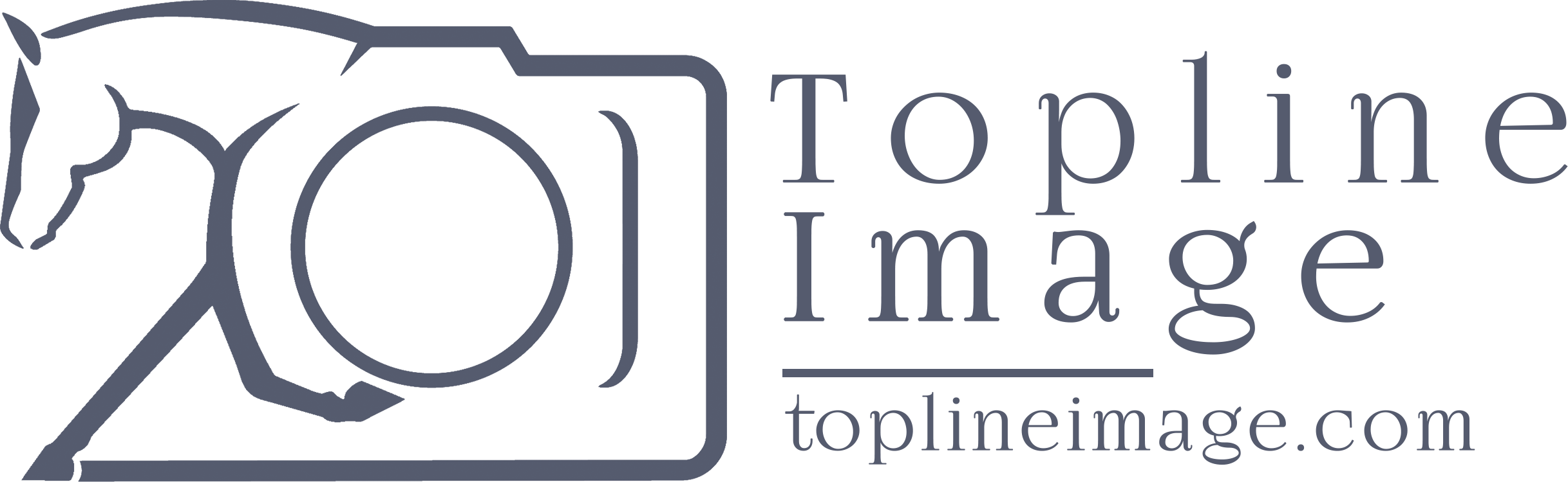Topline Image logo