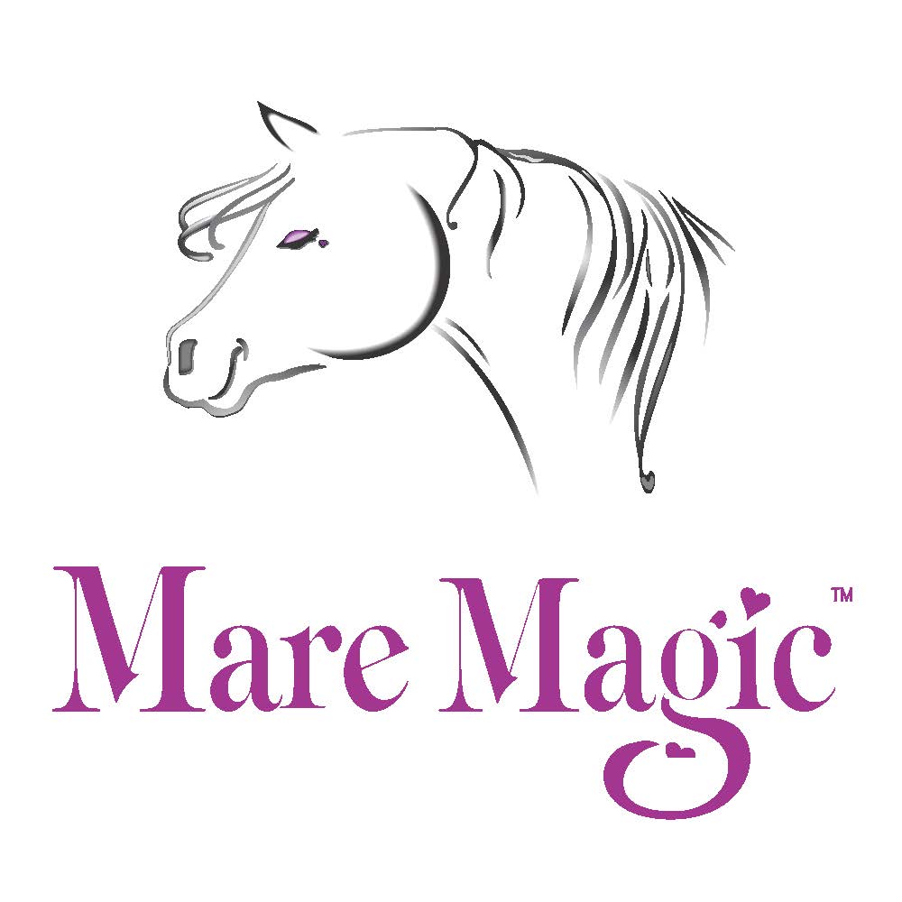Mare Magic Logo vector (002)