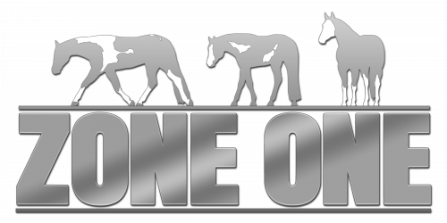 2016 APHA Zone One Shadow