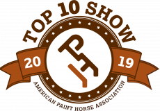 2019 Top Ten Show