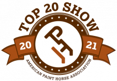 Top 20 Show 2021 Logo