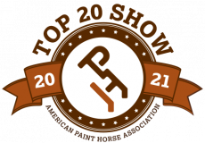 Top 20 Show 2021 Logo Top 20 Show 2021 Logo